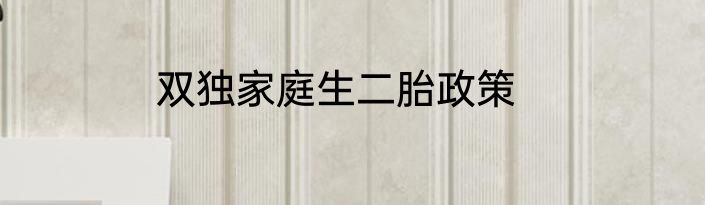 双独家庭生二胎政策