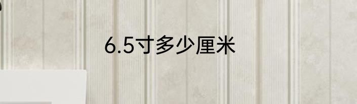 6.5寸多少厘米