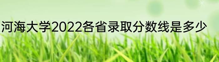 河海大学2022各省录取分数线是多少