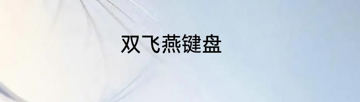 双飞燕键盘