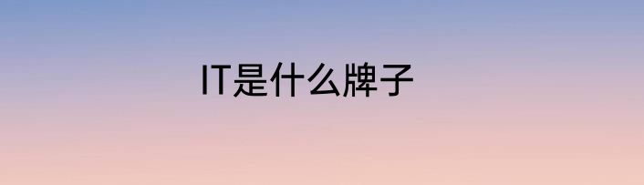 IT是什么牌子