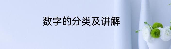 数字的分类及讲解