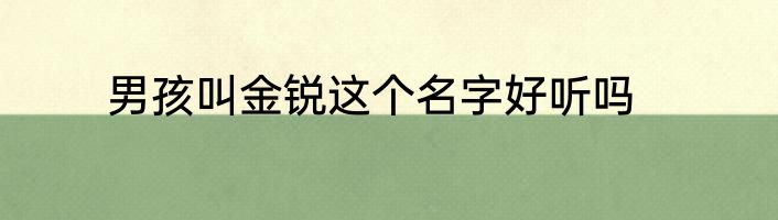 男孩叫金锐这个名字好听吗
