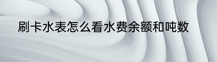 刷卡水表怎么看水费余额和吨数