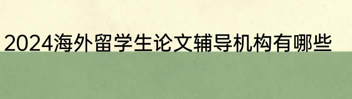 2024海外留学生论文辅导机构有哪些