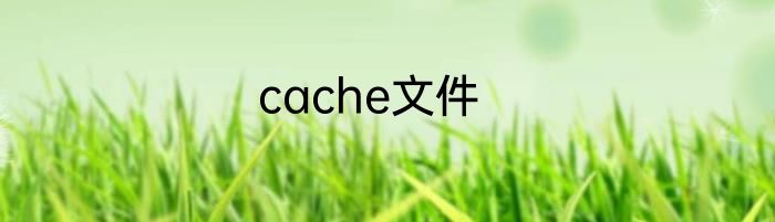cache文件