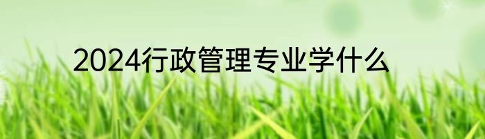 2024行政管理专业学什么