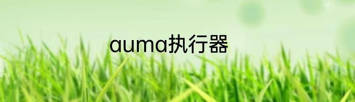 auma执行器