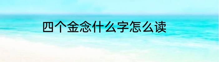 四个金念什么字怎么读