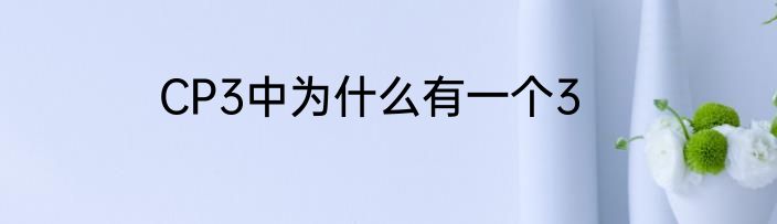 CP3中为什么有一个3