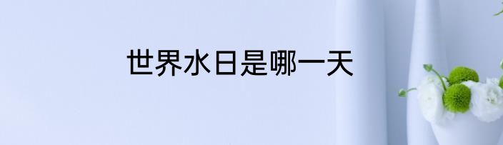 世界水日是哪一天
