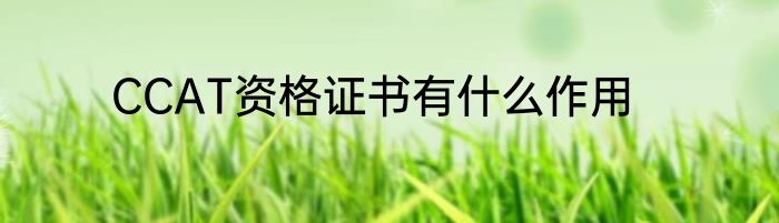 CCAT资格证书有什么作用