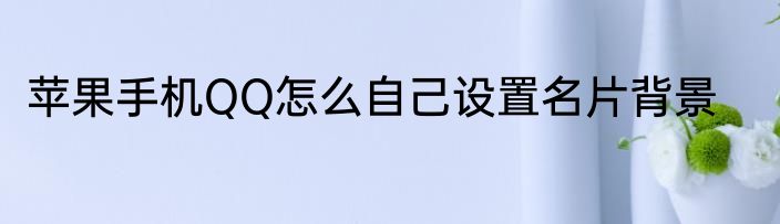 苹果手机QQ怎么自己设置名片背景