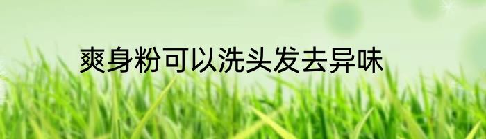 爽身粉可以洗头发去异味