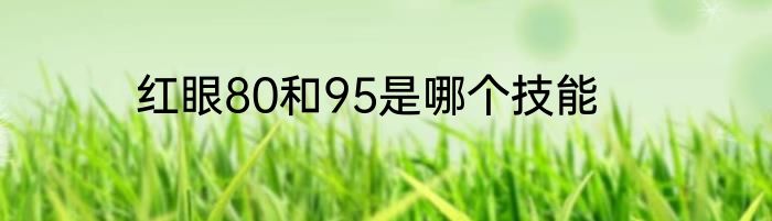 红眼80和95是哪个技能