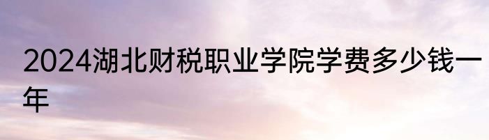 2024湖北财税职业学院学费多少钱一年