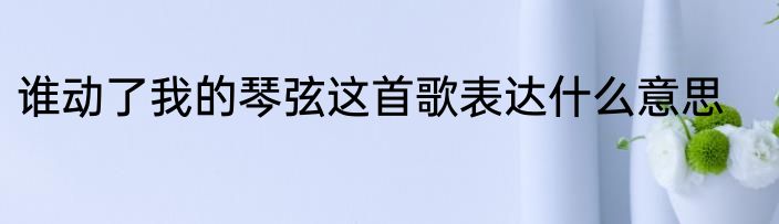 谁动了我的琴弦这首歌表达什么意思