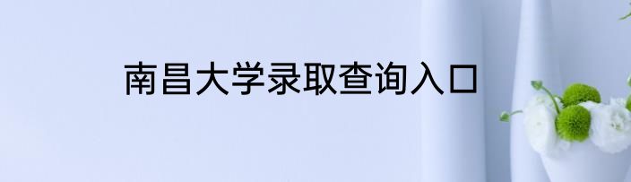 南昌大学录取查询入口