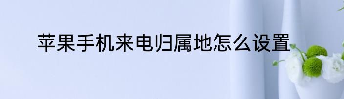 苹果手机来电归属地怎么设置