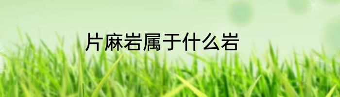 片麻岩属于什么岩
