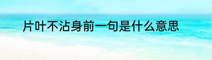 片叶不沾身前一句是什么意思