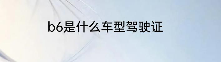 b6是什么车型驾驶证