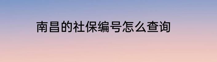南昌的社保编号怎么查询