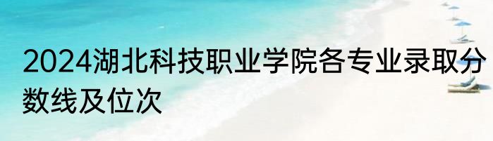 2024湖北科技职业学院各专业录取分数线及位次