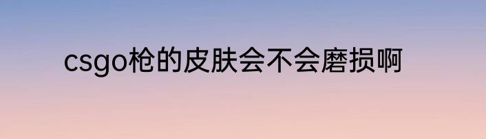 csgo枪的皮肤会不会磨损啊