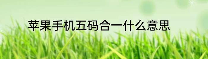 苹果手机五码合一什么意思