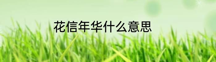 花信年华什么意思