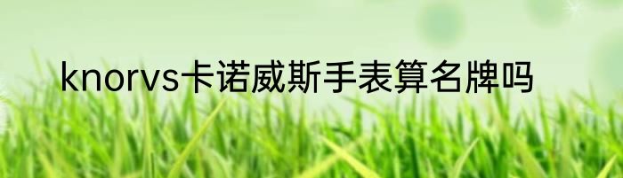 knorvs卡诺威斯手表算名牌吗