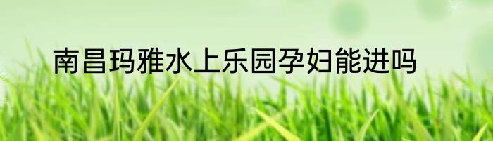 南昌玛雅水上乐园孕妇能进吗