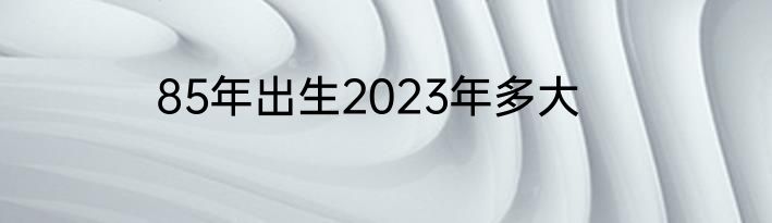 85年出生2023年多大
