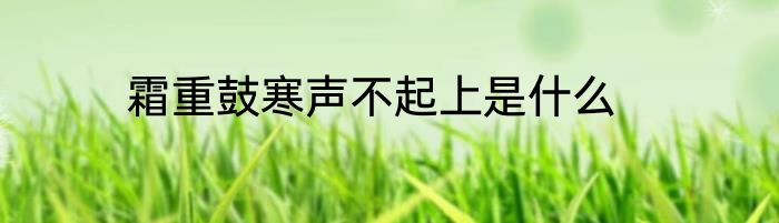 霜重鼓寒声不起上是什么