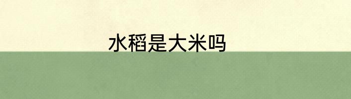 水稻是大米吗