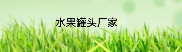 水果罐头厂家