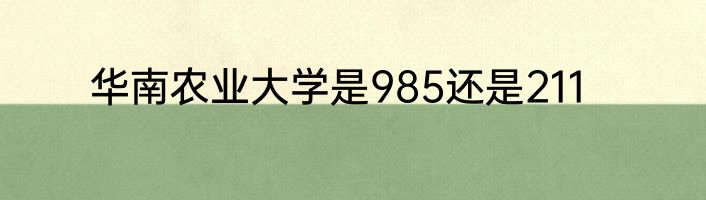 华南农业大学是985还是211