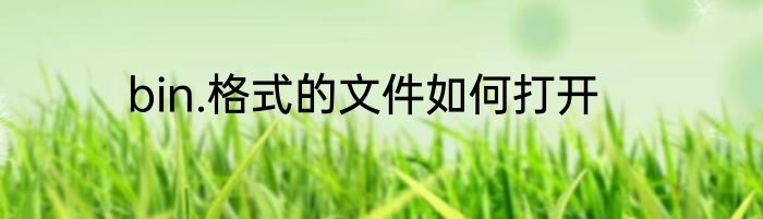 bin.格式的文件如何打开