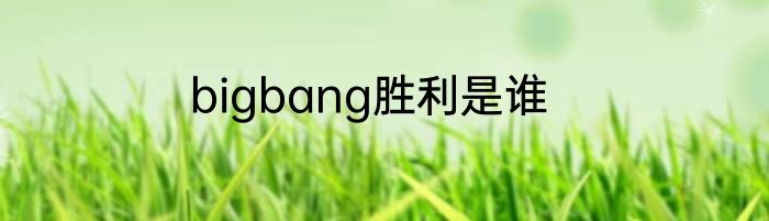 bigbang胜利是谁