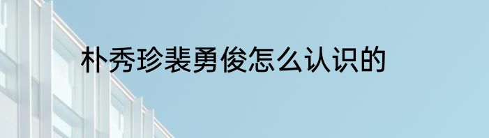 朴秀珍裴勇俊怎么认识的
