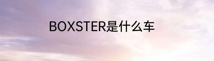 BOXSTER是什么车