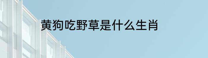 黄狗吃野草是什么生肖