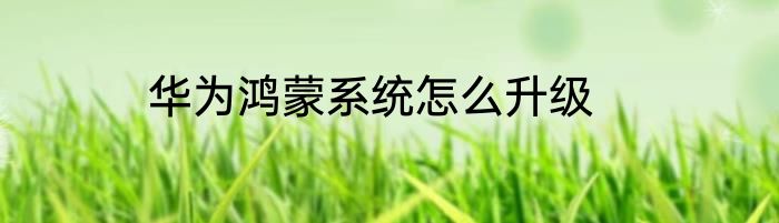 华为鸿蒙系统怎么升级