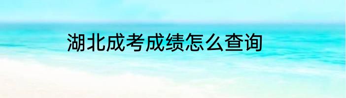 湖北成考成绩怎么查询