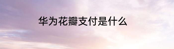 华为花瓣支付是什么