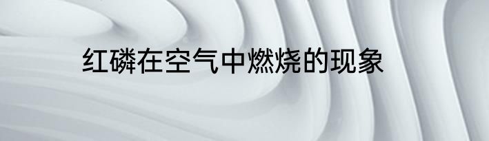 红磷在空气中燃烧的现象