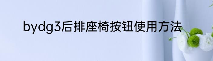bydg3后排座椅按钮使用方法