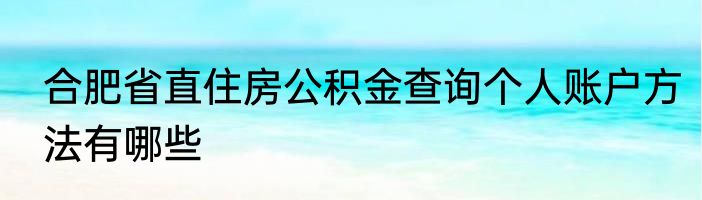 合肥省直住房公积金查询个人账户方法有哪些