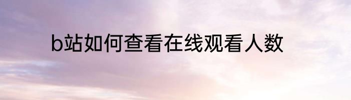 b站如何查看在线观看人数